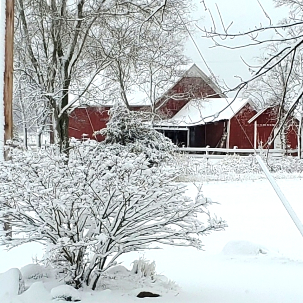 Red Barn in Winter Dream Print